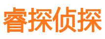 隆安商务调查